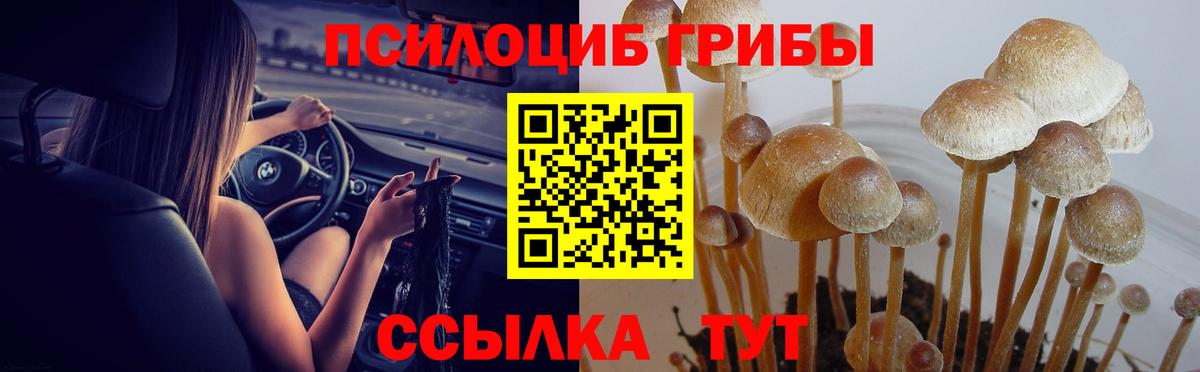 Батайск  Галлюциногенные грибы прущие грибы  Вход с VPN 